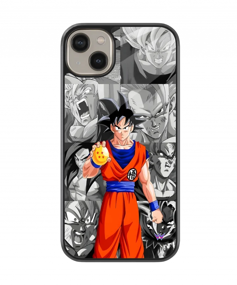 Goku 4 star Glass Case