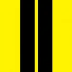 Stripes Edition Cover