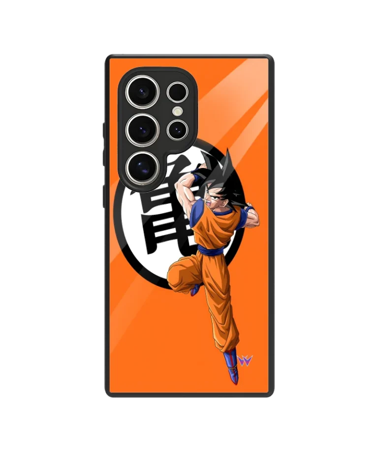 Goku Budokai II Glass Case