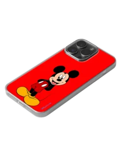 Soft Case